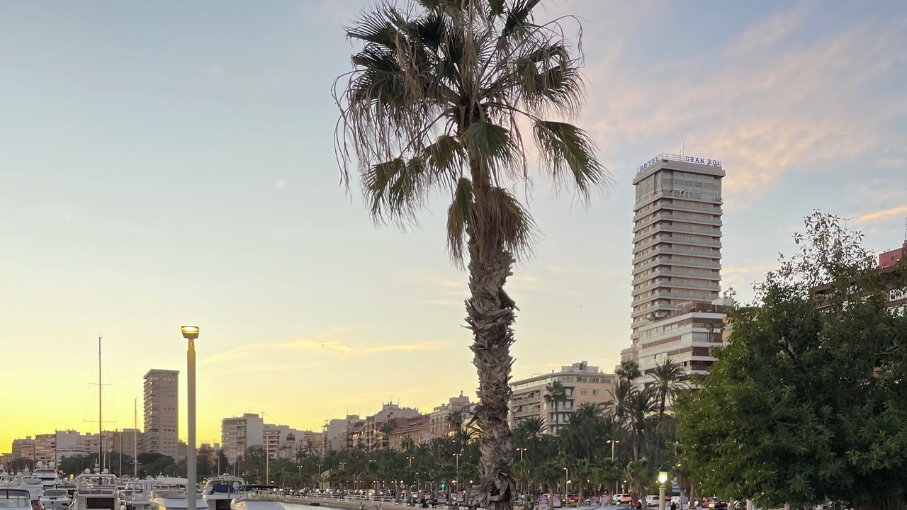 Photo of Others in Los Arenales del Sol