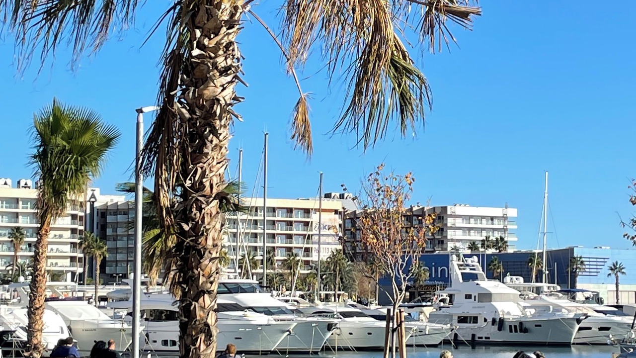 Photo of Others in Los Arenales del Sol
