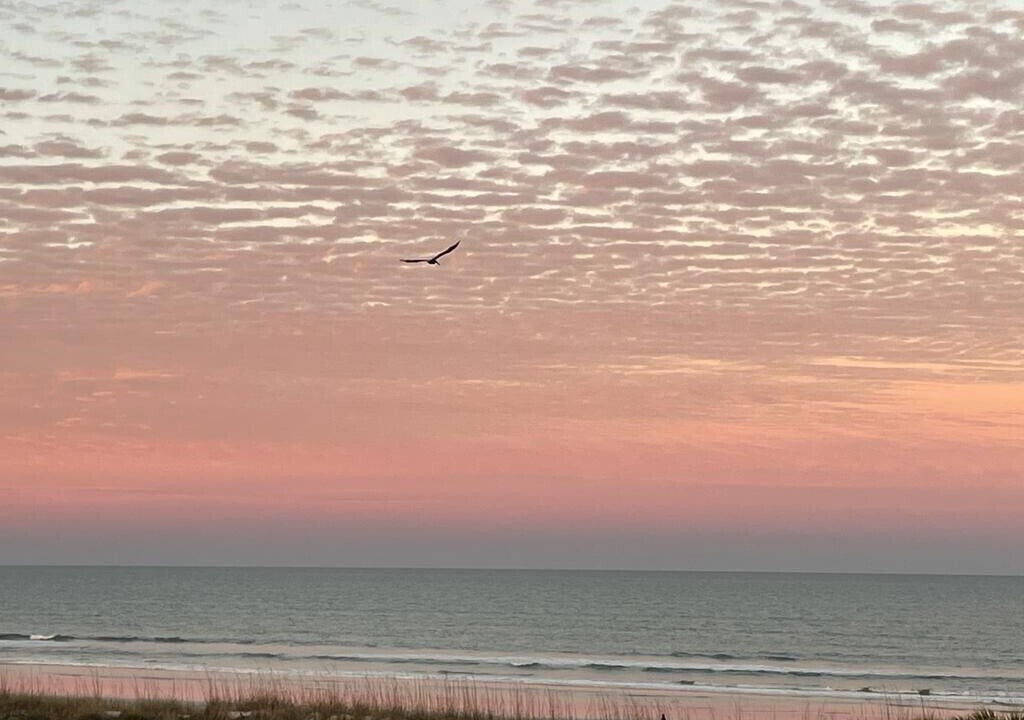 Photo of Others in Butler Beach
