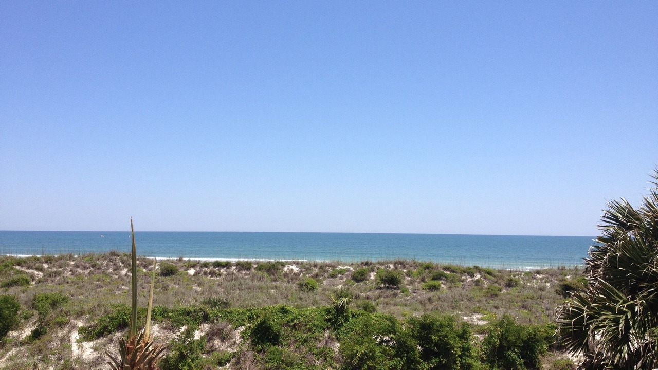 Photo of Others in Butler Beach