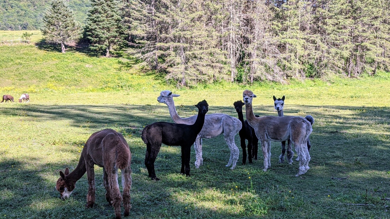 Photo of Others in Lanesborough