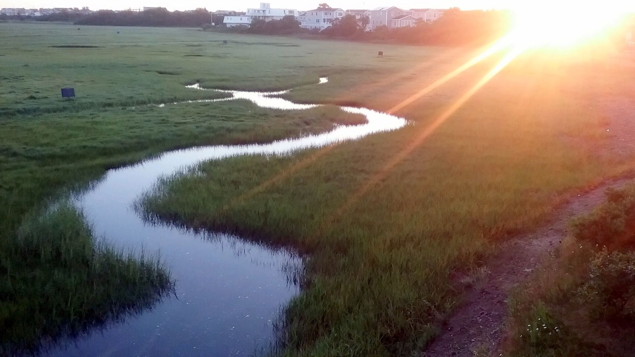 Photo of Outdoor in Salisbury