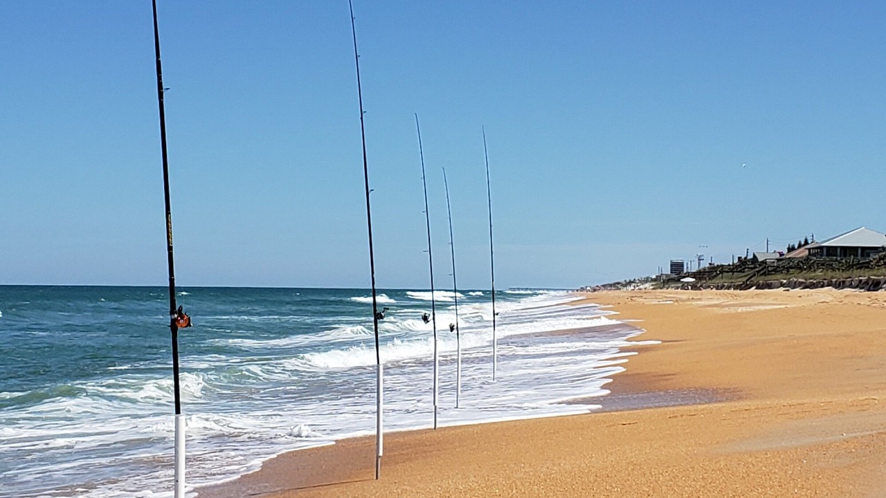 Photo of Others in Beverly Beach