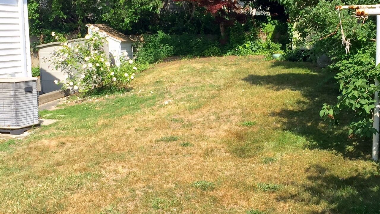 Photo of Outdoor in Dennis