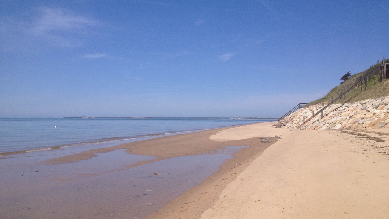 Photo of Others in North Eastham