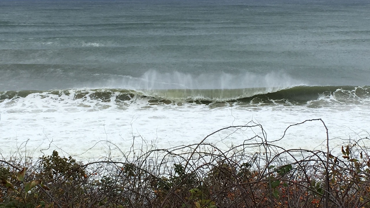 Photo of Others in North Eastham