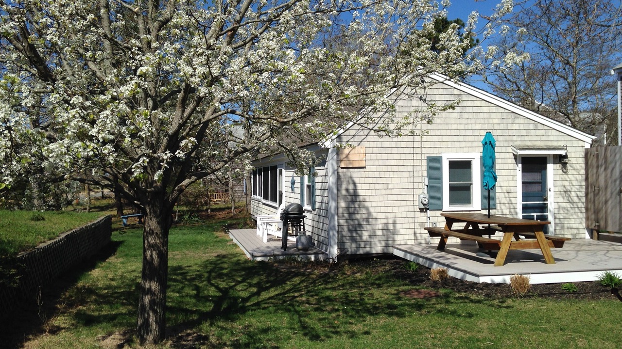 Photo of Others in North Eastham