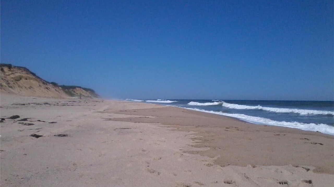 Photo of Others in North Eastham