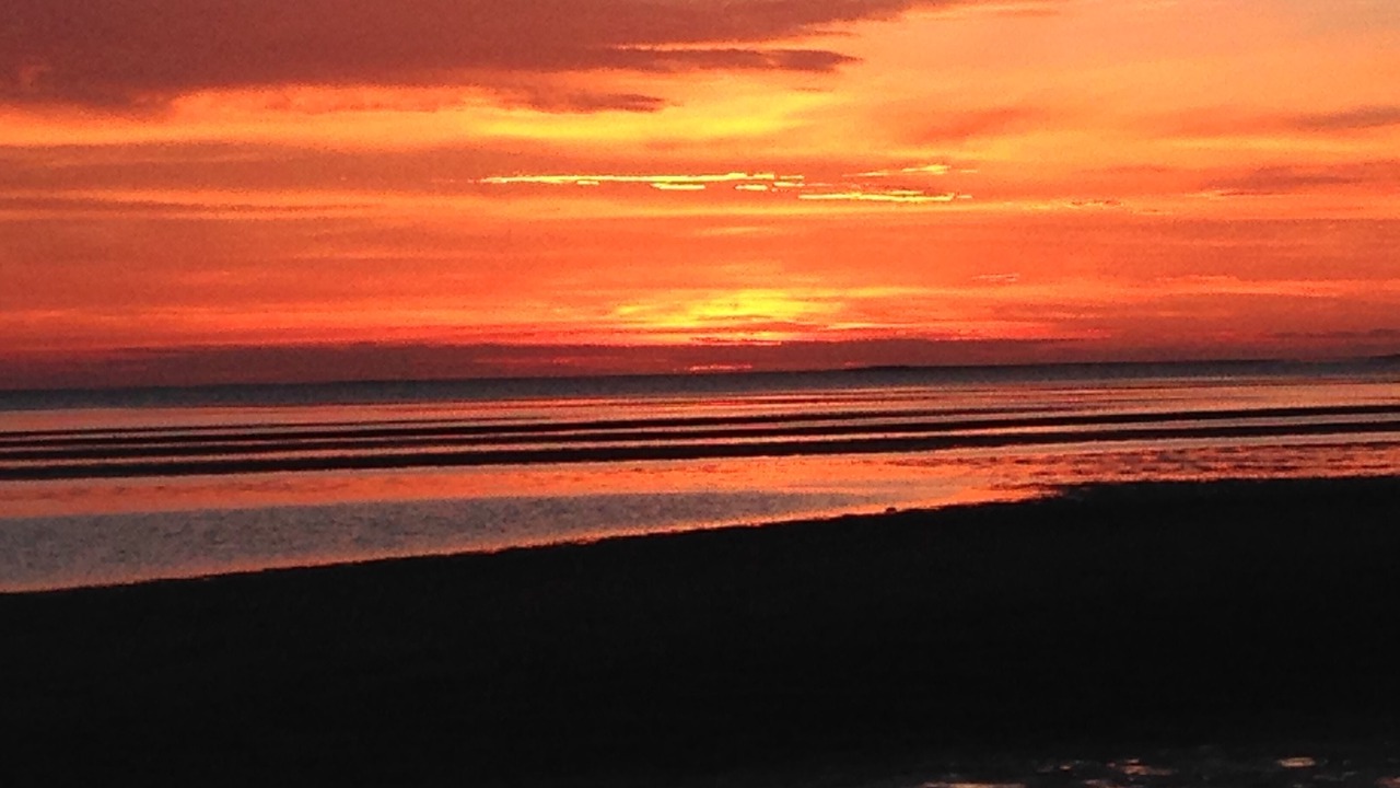 Photo of Others in North Eastham