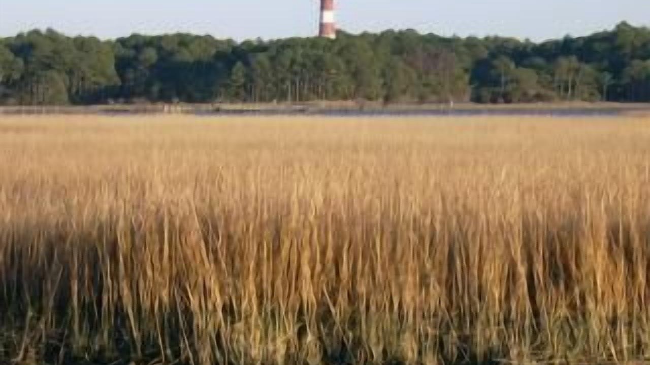 Photo of Others in Chincoteague