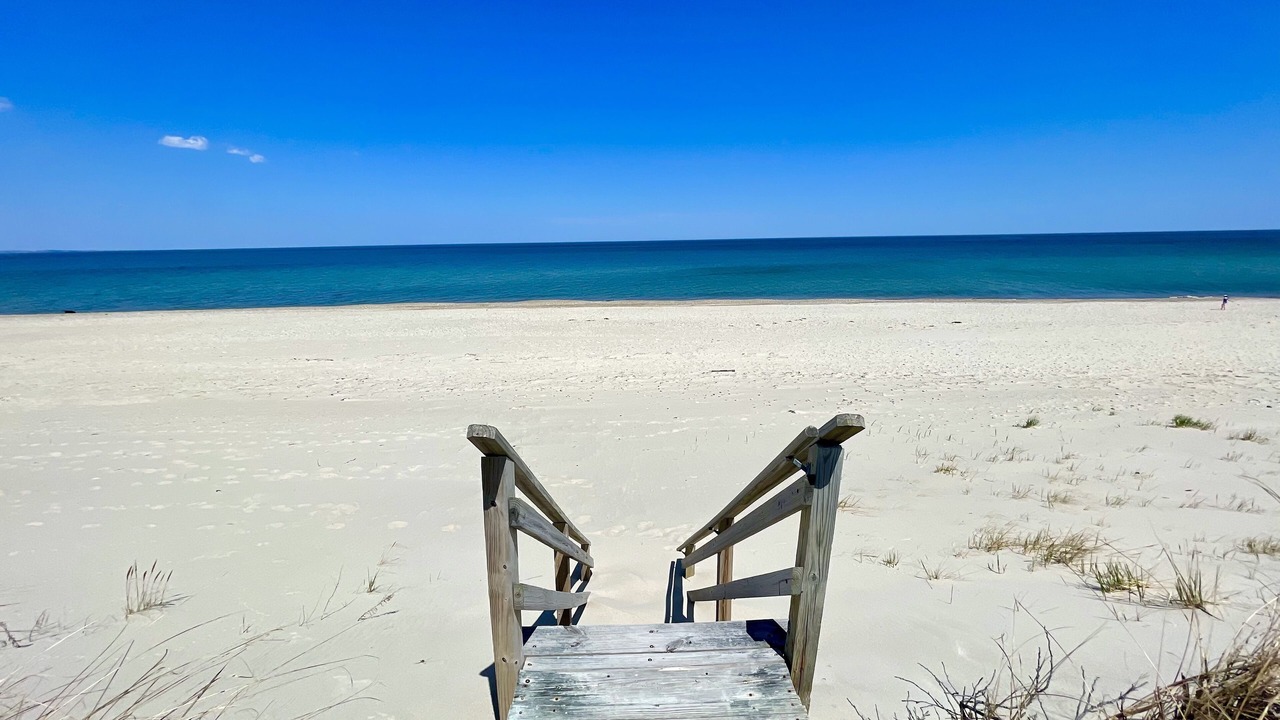 Photo of Others in East Sandwich