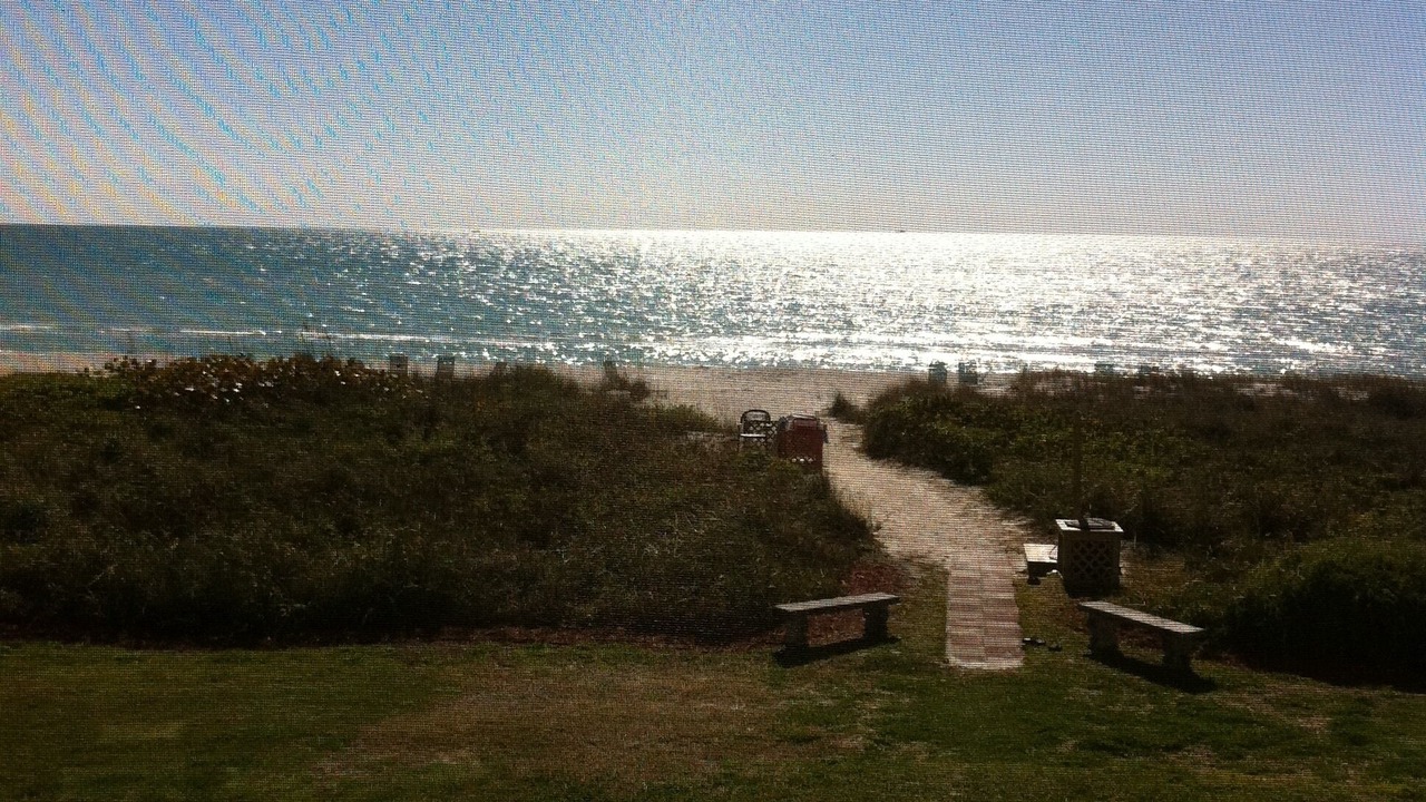 Photo of Outdoor in Whitney Beach