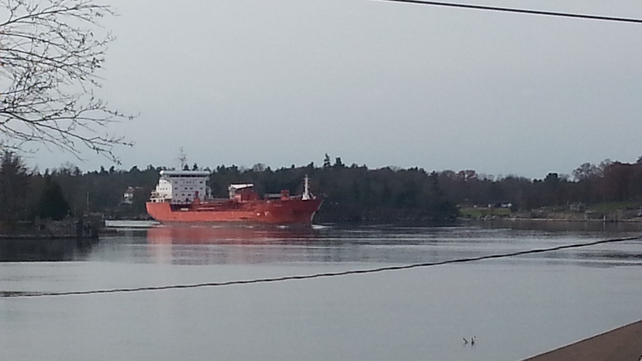 Photo of Others in Alexandria Bay