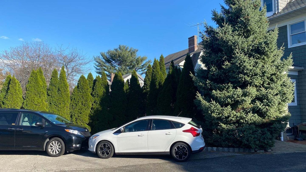 Photo of Outdoor in New Rochelle