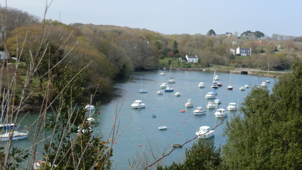 Photo of Others in Doelan