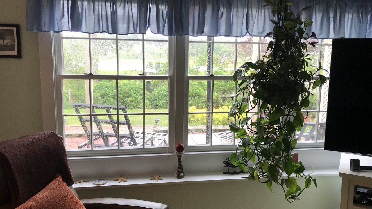 Photo of Outdoor in Dennis Port