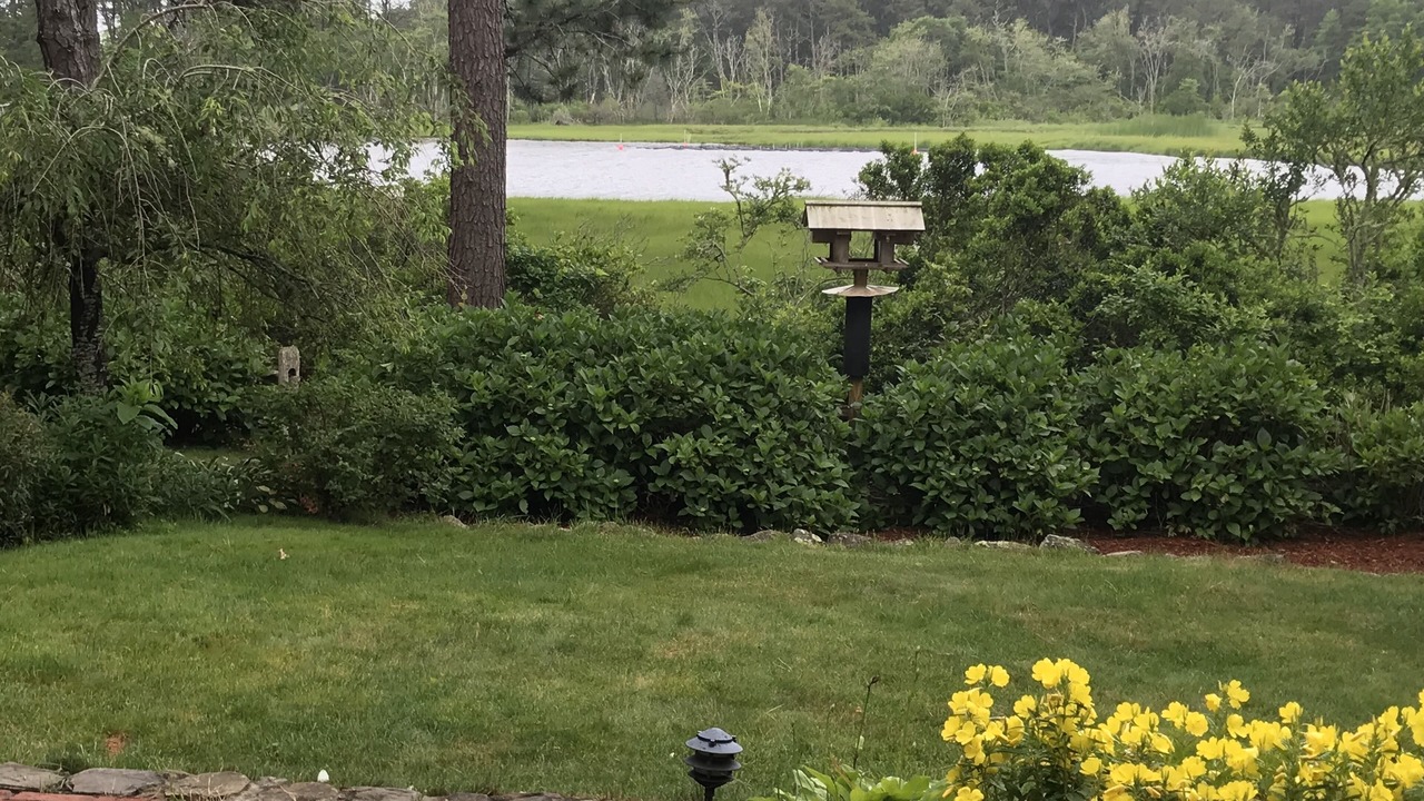 Photo of Outdoor in Dennis Port