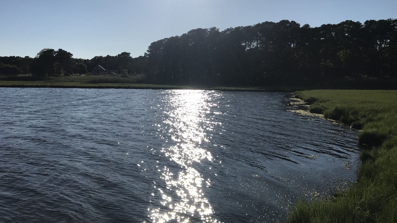 Photo of Outdoor in Dennis Port