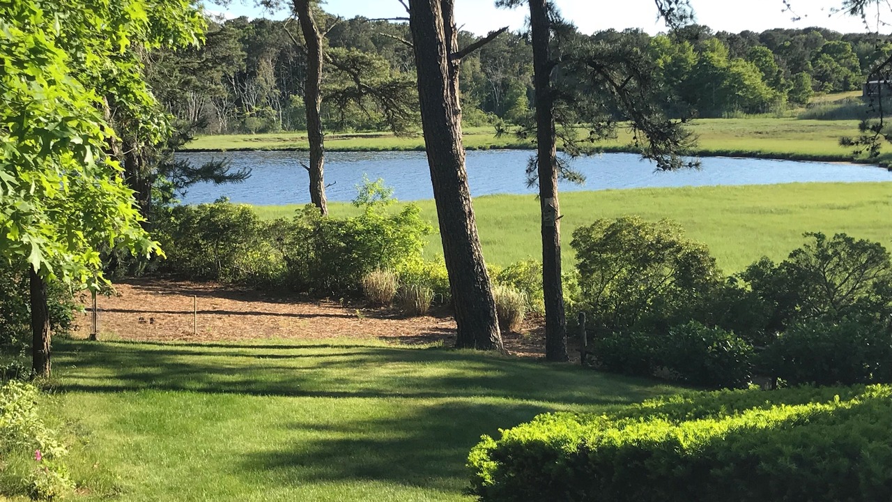 Photo of Outdoor in Dennis Port