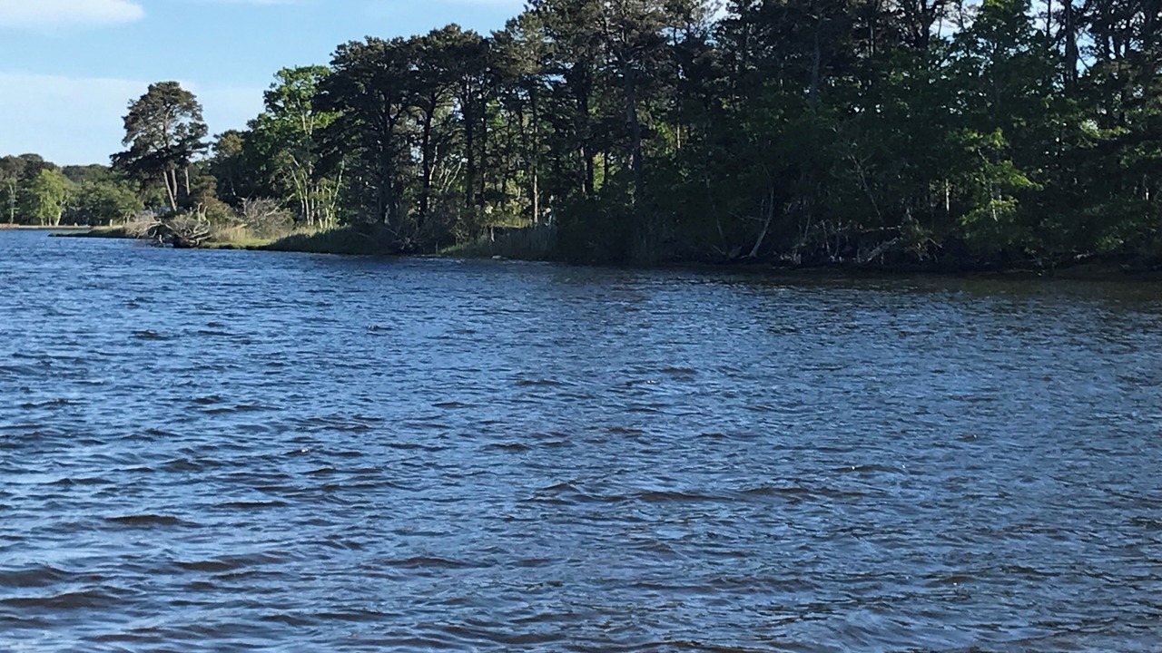 Photo of Outdoor in Dennis Port