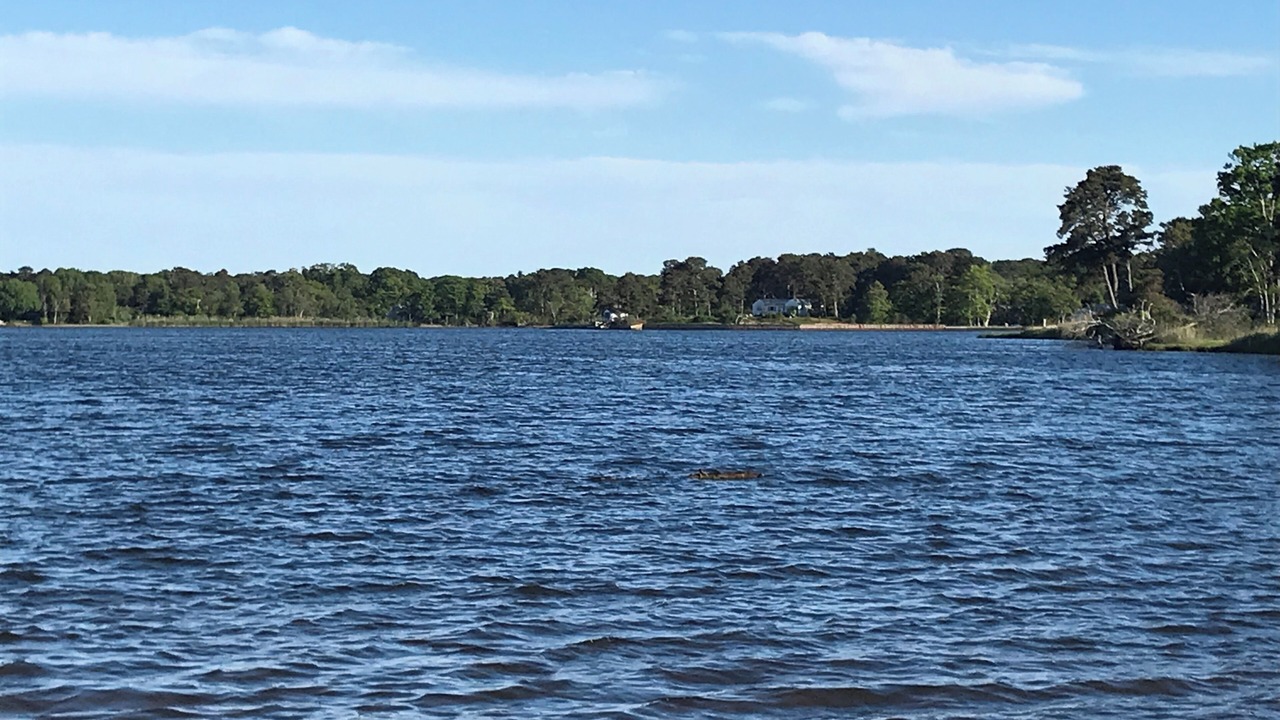 Photo of Outdoor in Dennis Port