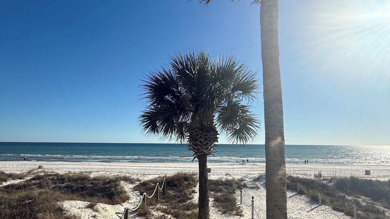 Photo of Others in Panama City Beach