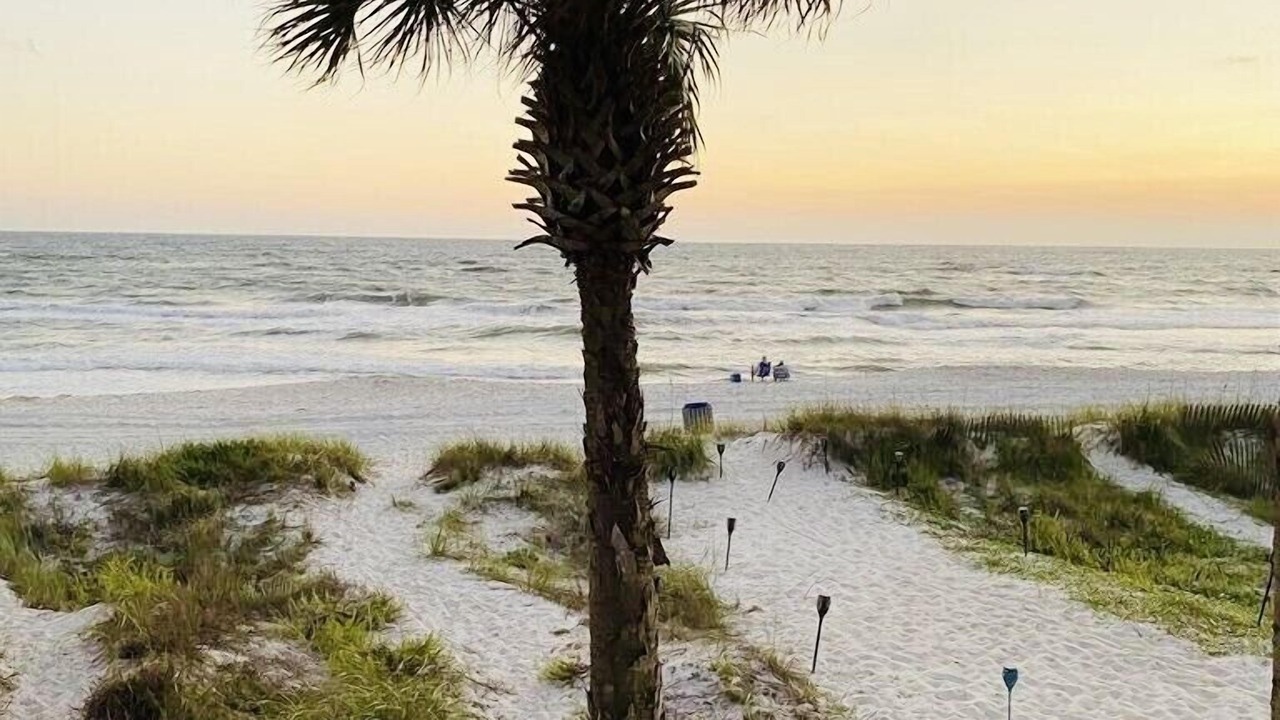 Photo of Others in Panama City Beach