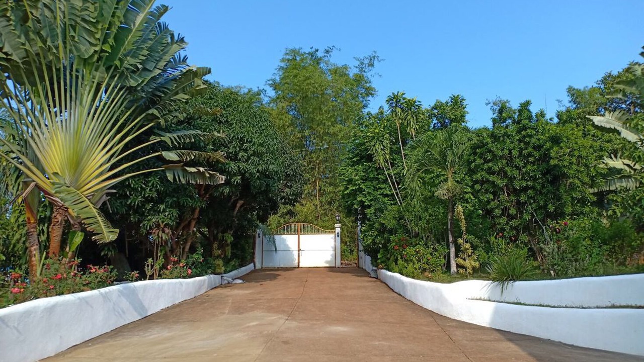 Photo of Outdoor in San Pedro