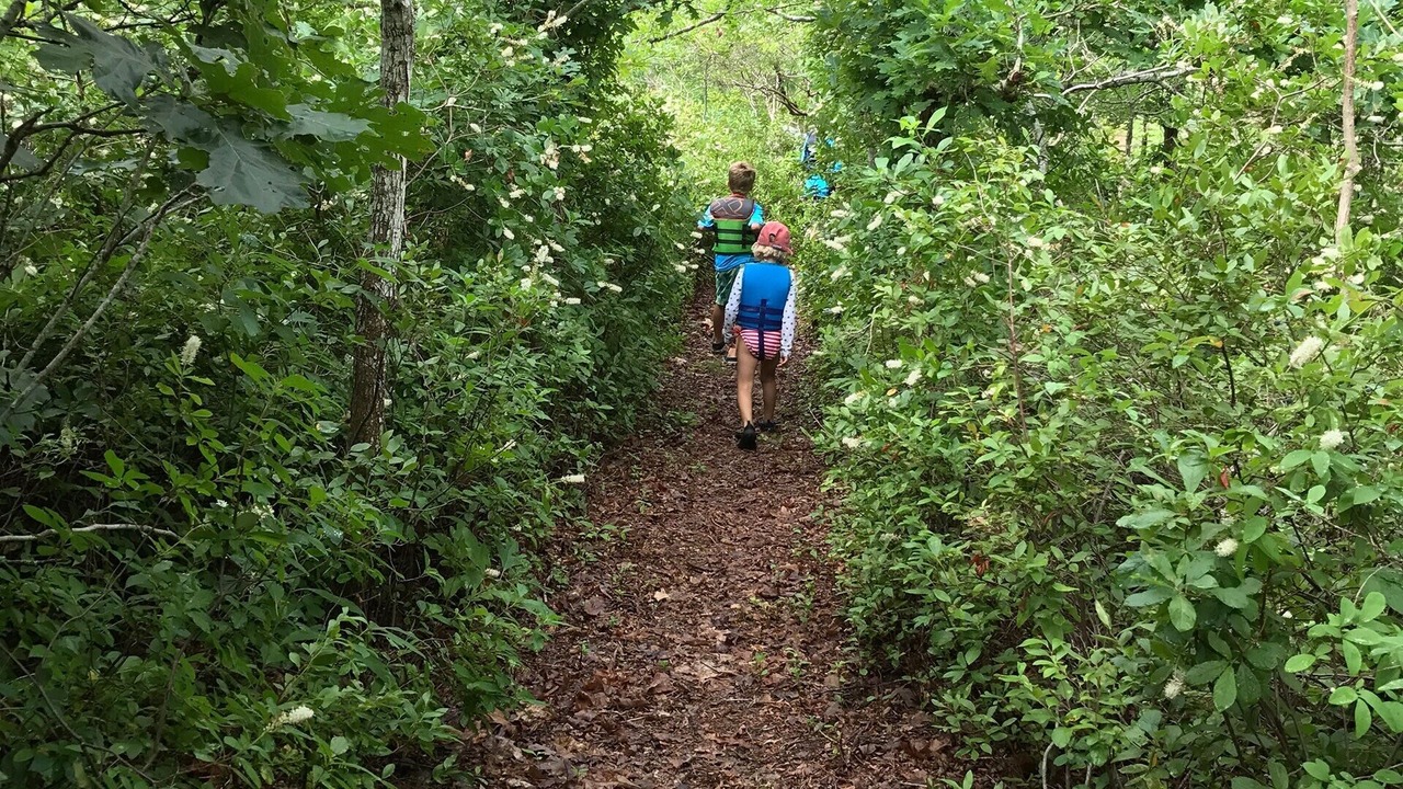 Photo of Outdoor in Tisbury