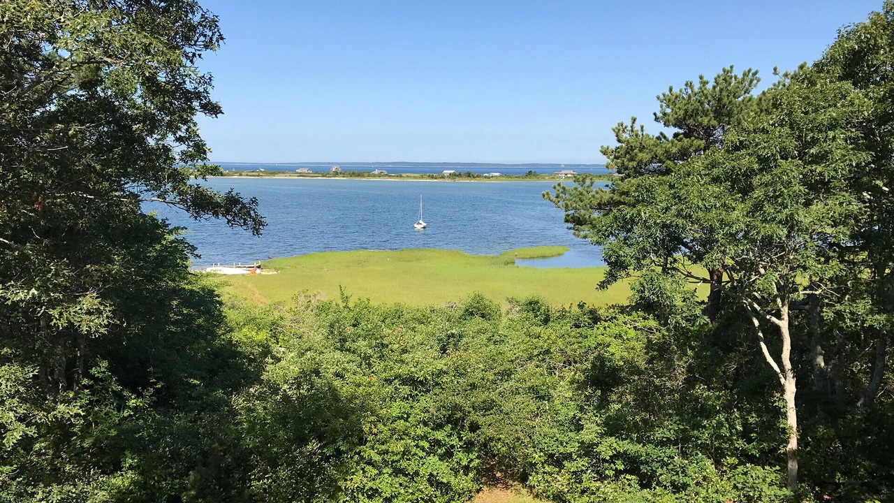 Photo of Outdoor in Tisbury