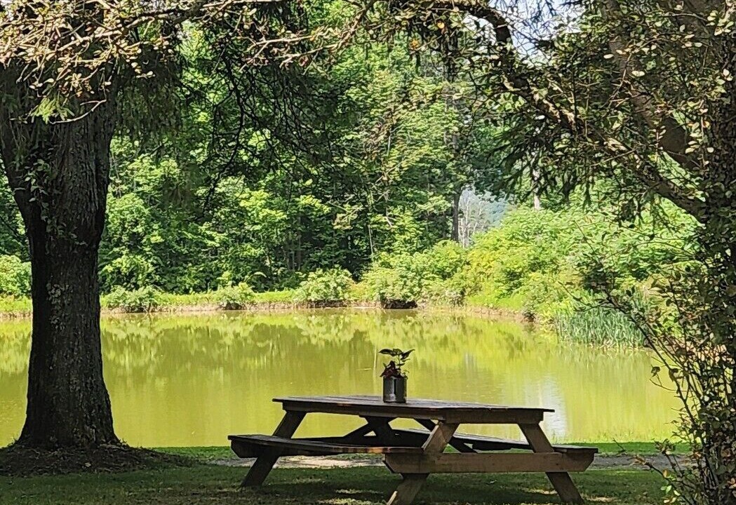 Photo of Others in Great Valley