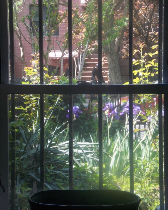 Photo of Others in Carroll Gardens