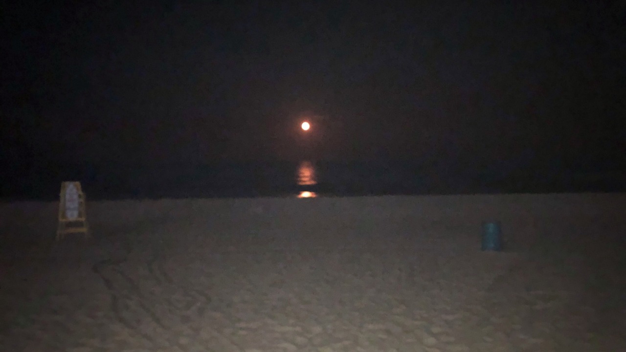Photo of Outdoor in North Ocean City