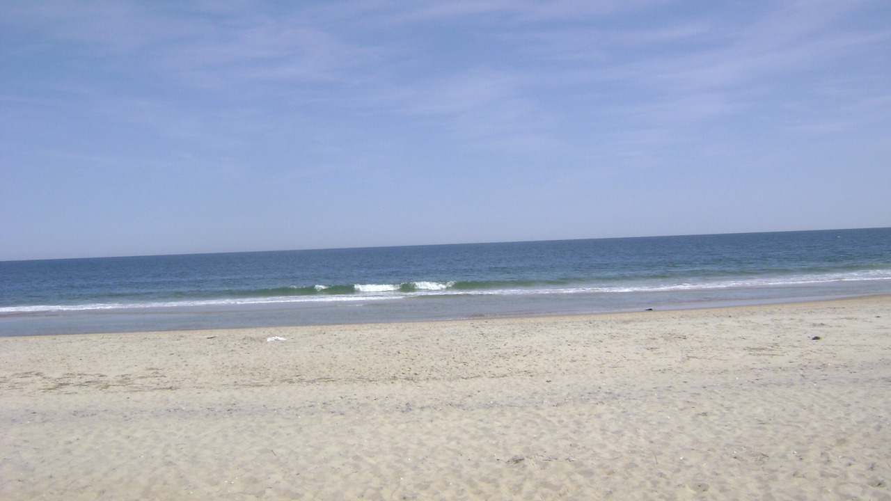 Photo of Others in North Ocean City
