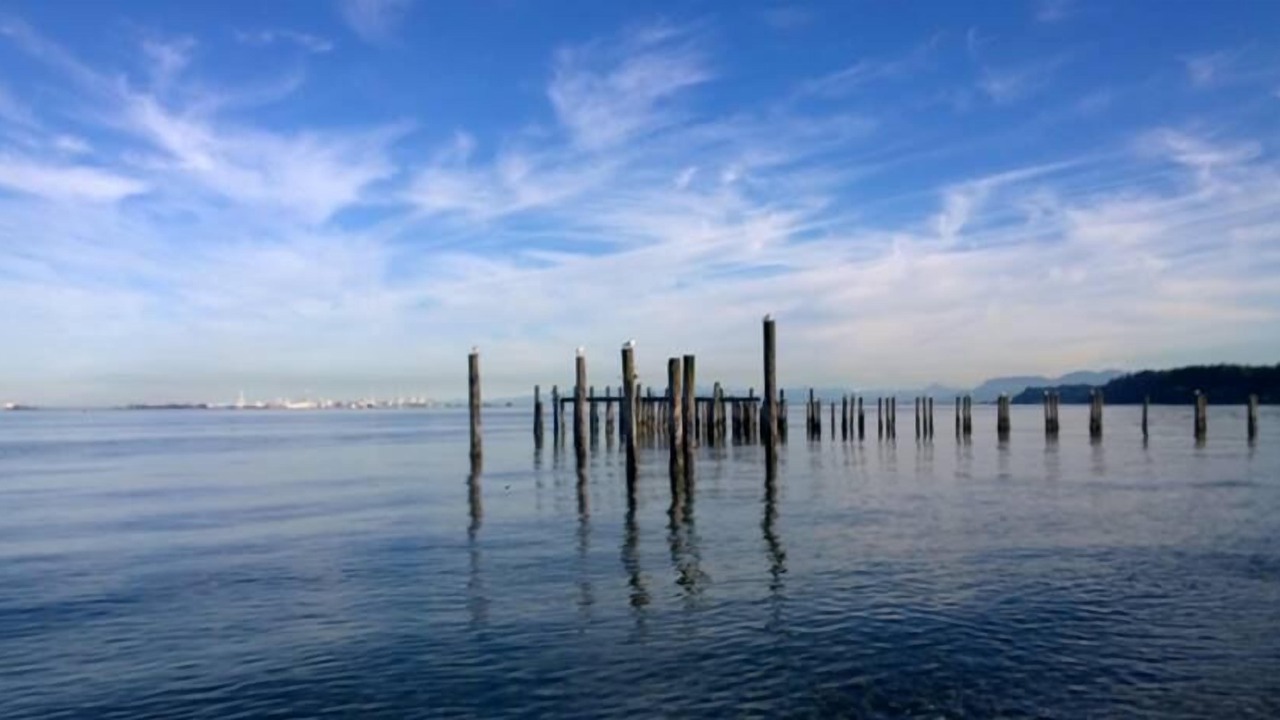 Photo of Others in Point Roberts