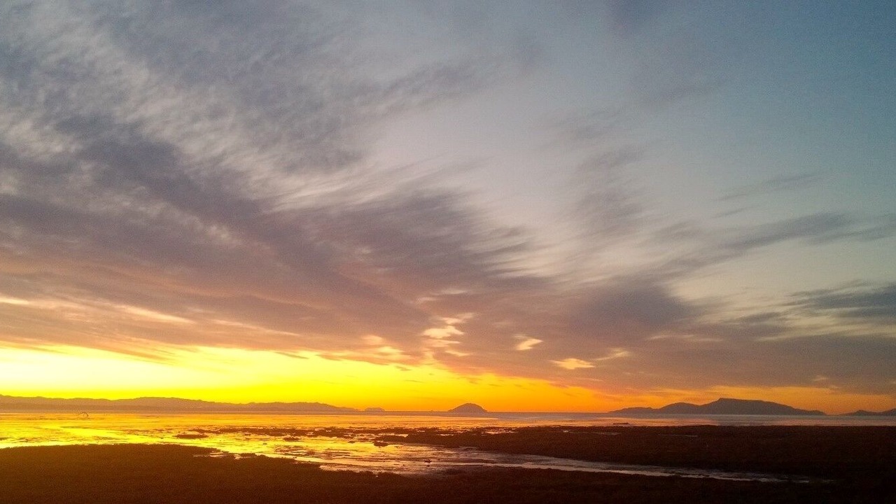 Photo of Others in Point Roberts