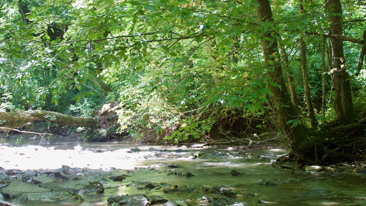 Photo of Outdoor in Stonewall