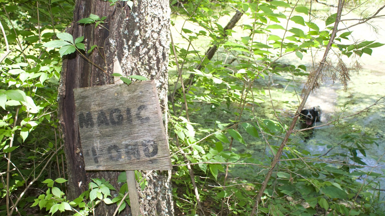 Photo of Outdoor in Stonewall