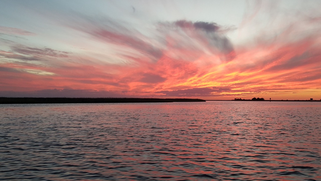 Photo of Others in Steinhatchee