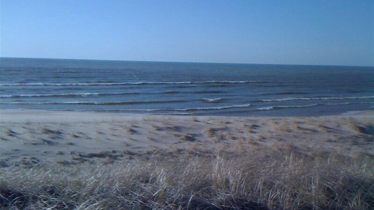 Photo of Others in Saugatuck