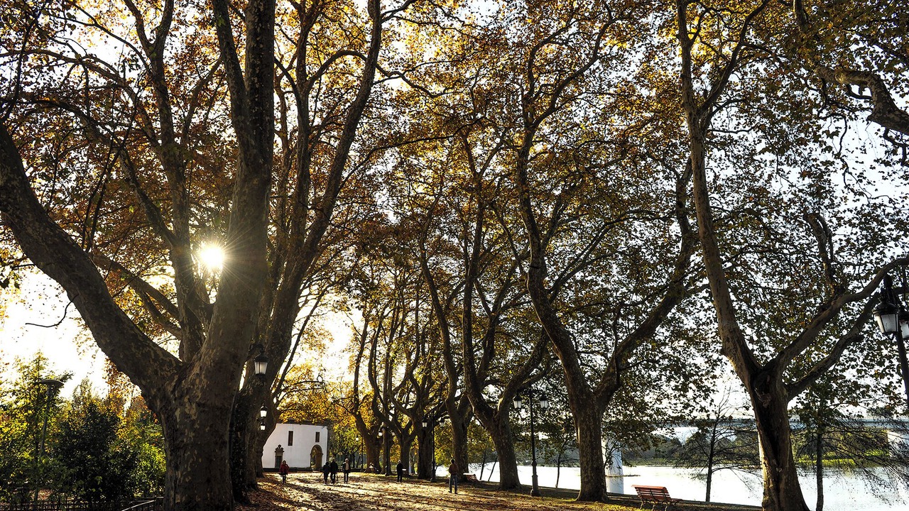 Photo of Outdoor in Refoios do Lima