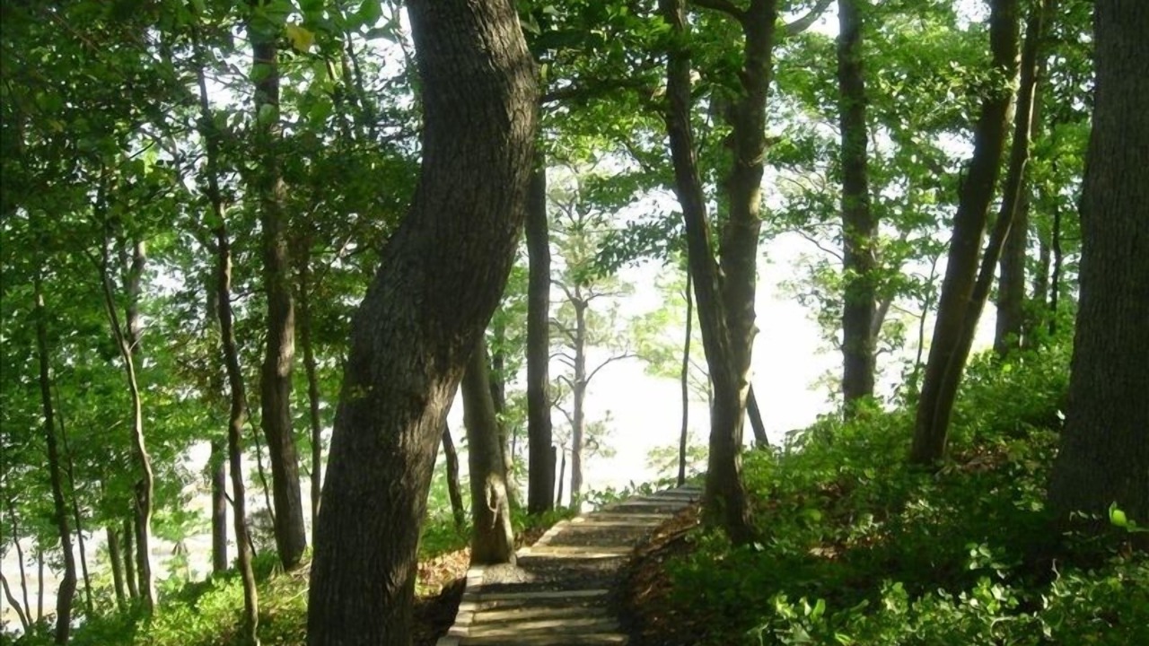 Photo of Others in Spring Grove