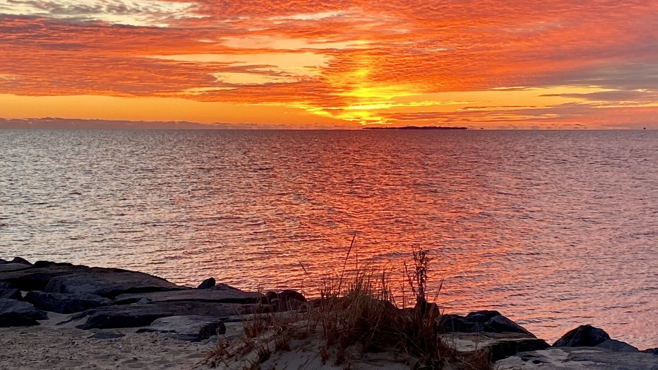 Photo of Others in Oak Bluffs