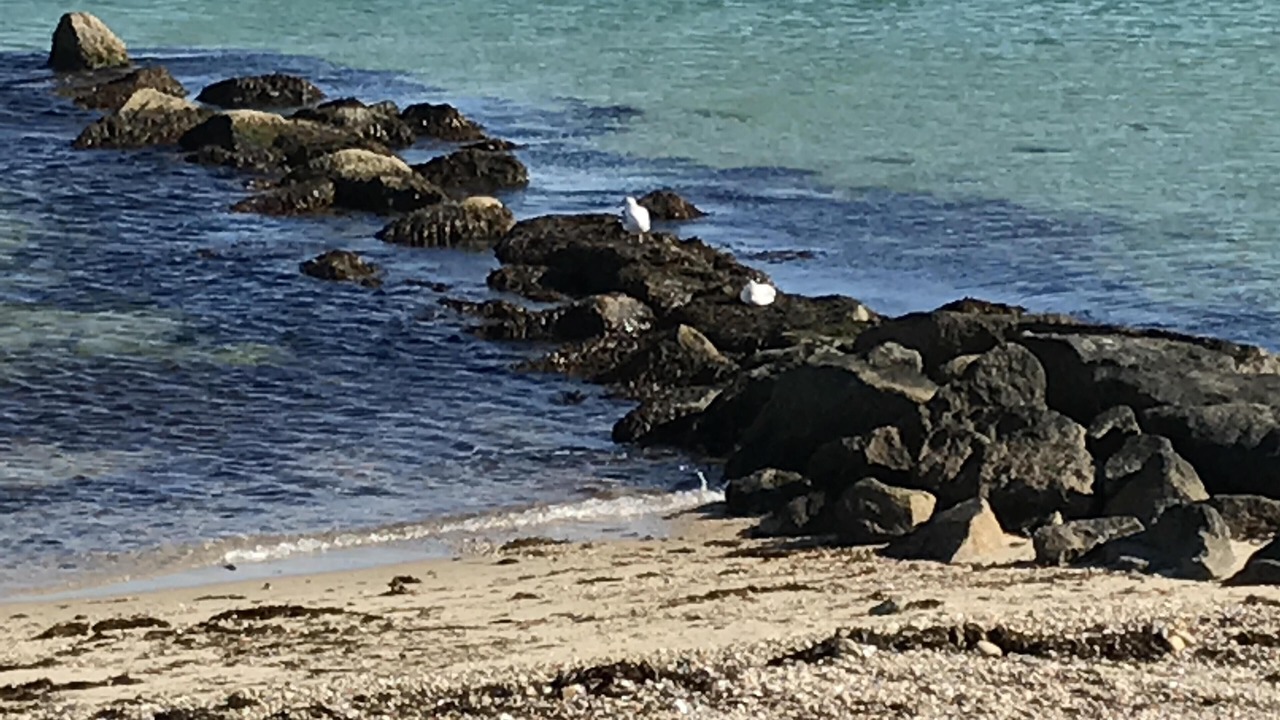 Photo of Others in Oak Bluffs