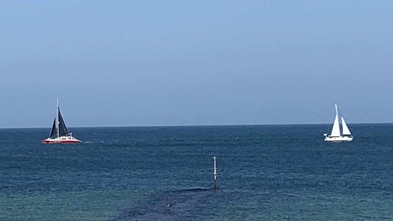 Photo of Others in Oak Bluffs