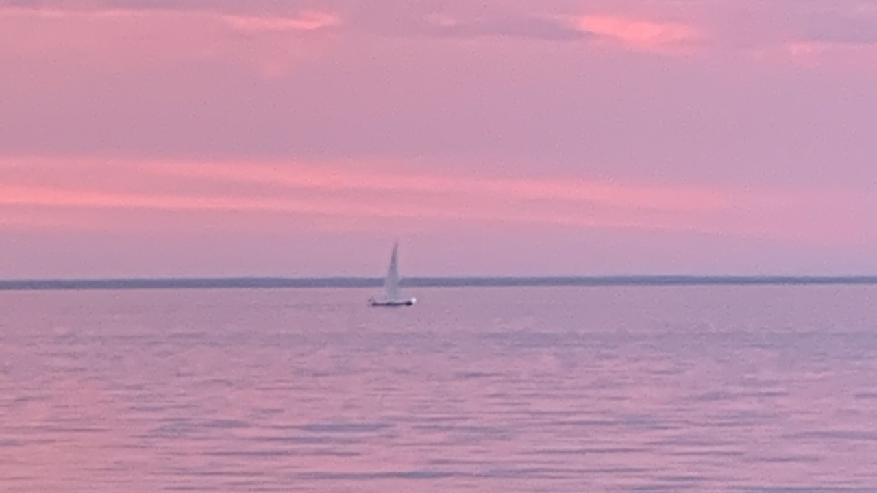 Photo of Others in Oak Bluffs