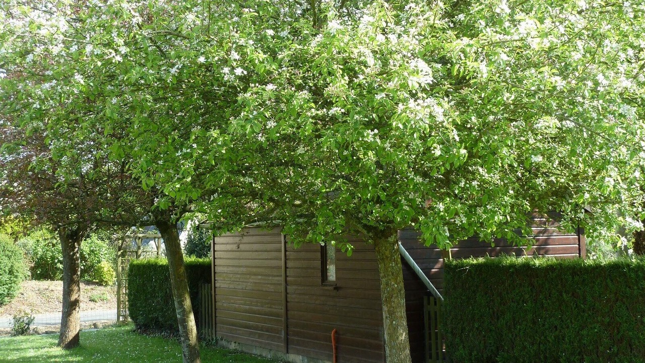 Photo of Outdoor in Pludual