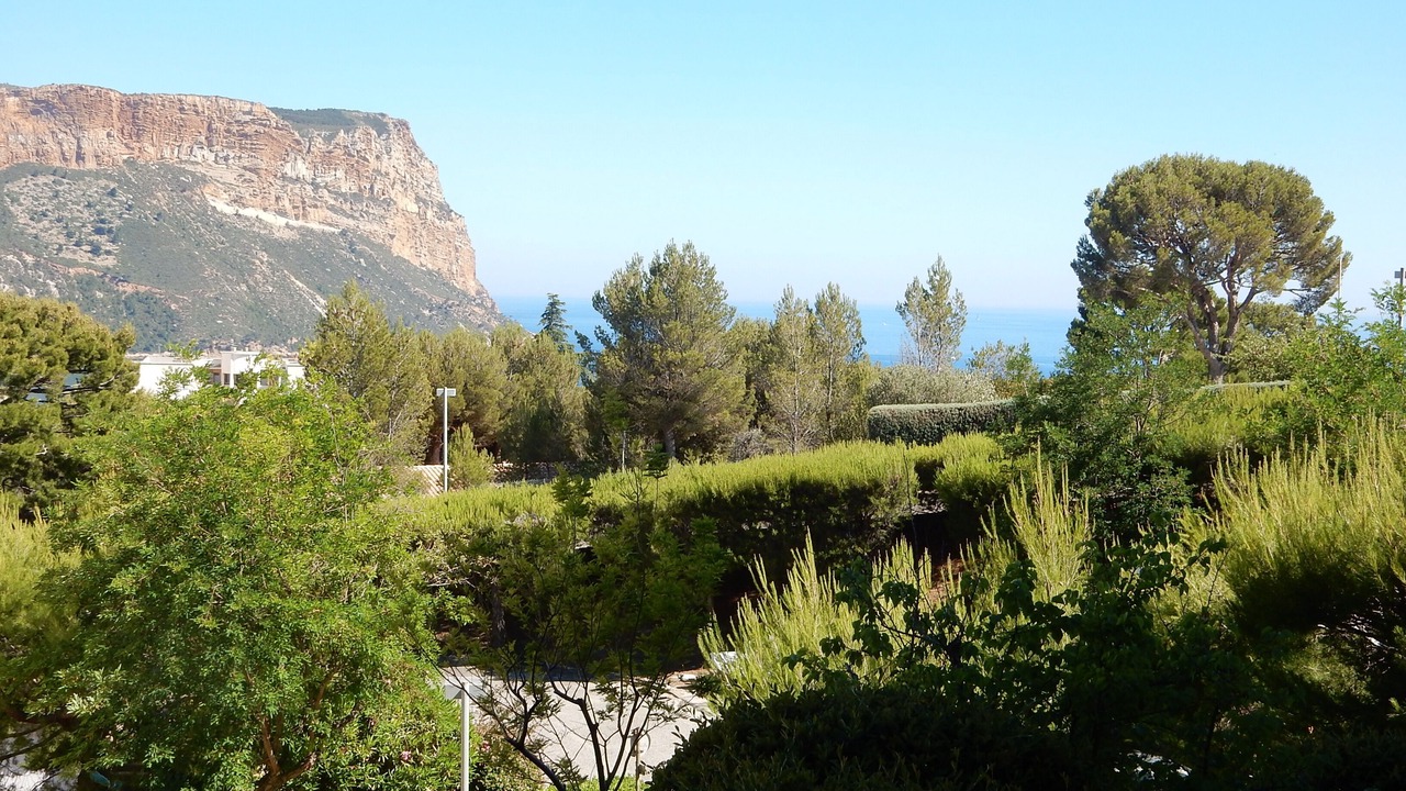 Photo of Outdoor in Cassis