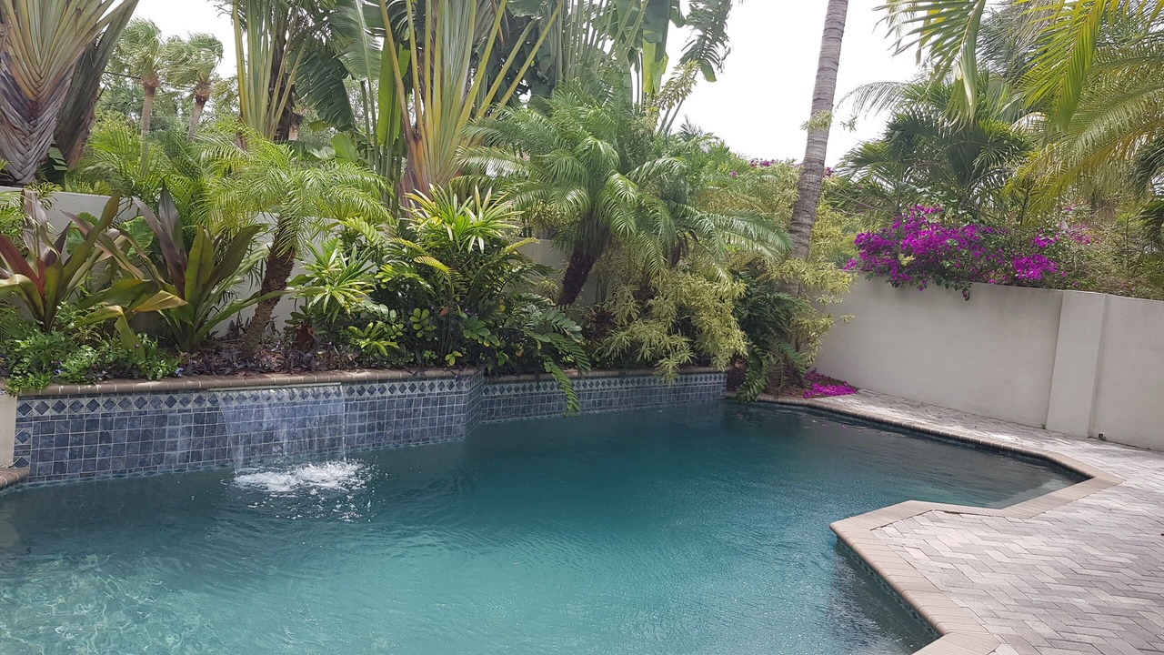 Photo of Outdoor in Sarasota