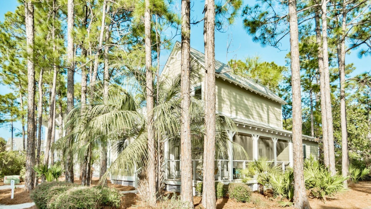 Photo of Outdoor in Seagrove Beach